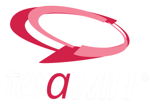 TeraWiFi